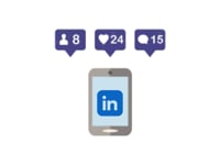 Robust LinkedIn Audit